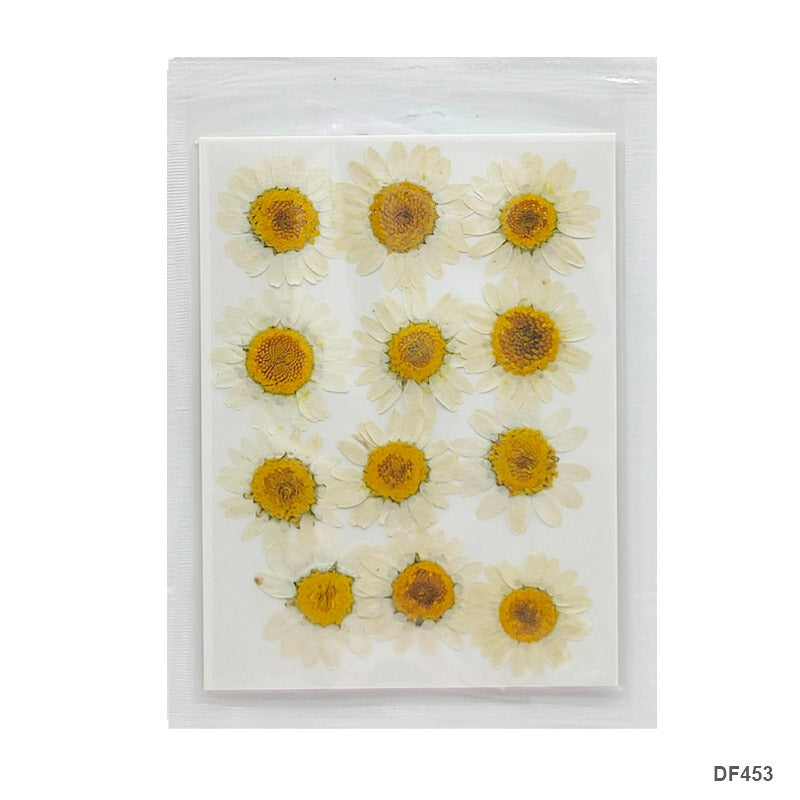 Pressed Flower DF453