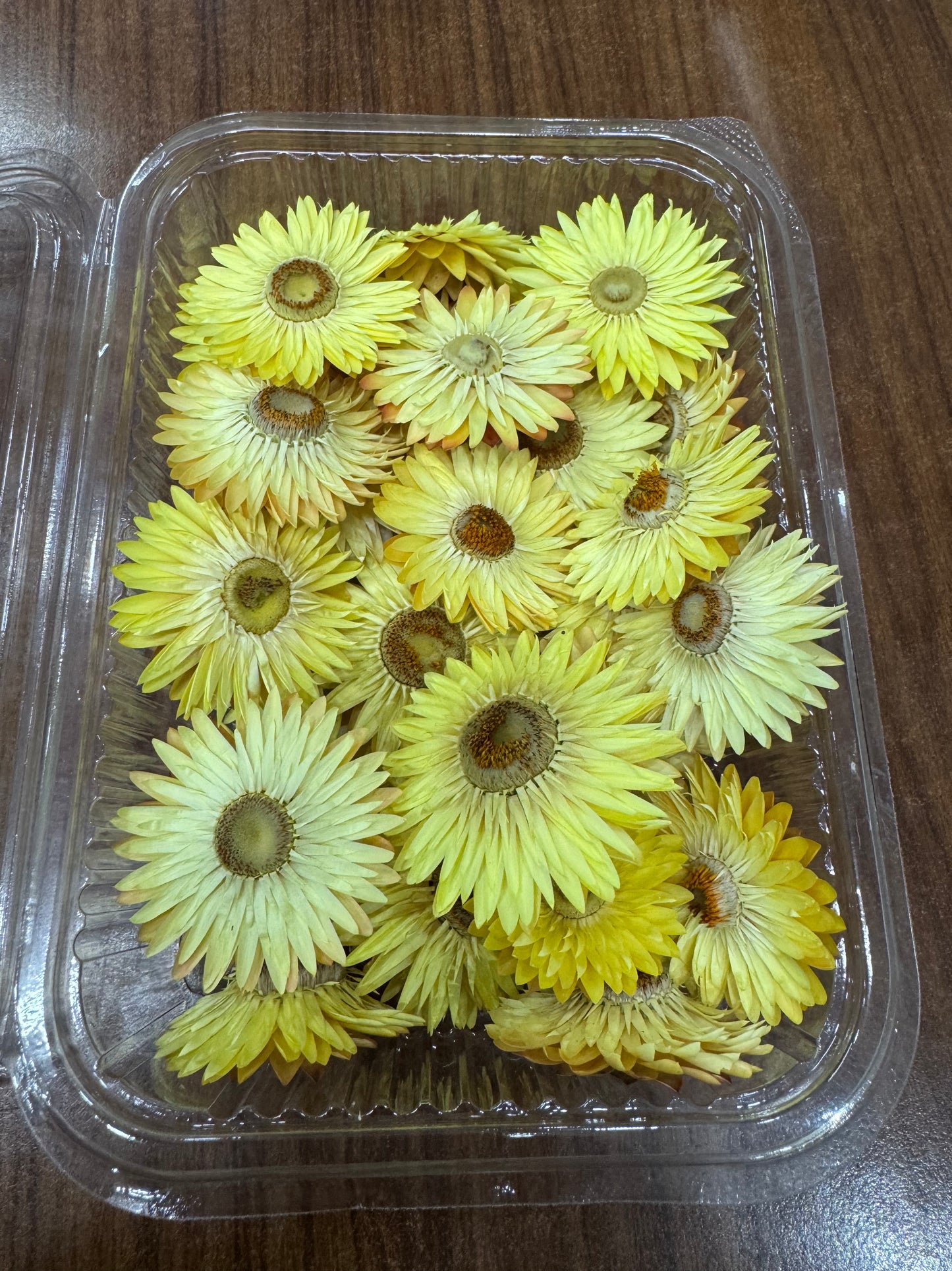 Dried Flower Box - 2