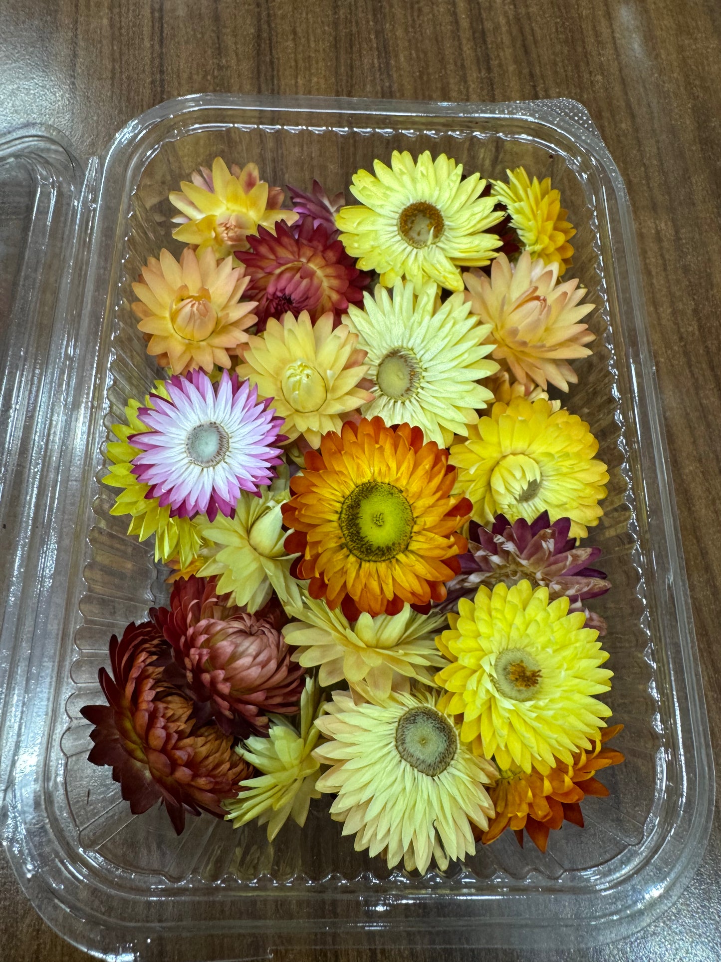 Dried Flower Box - 1