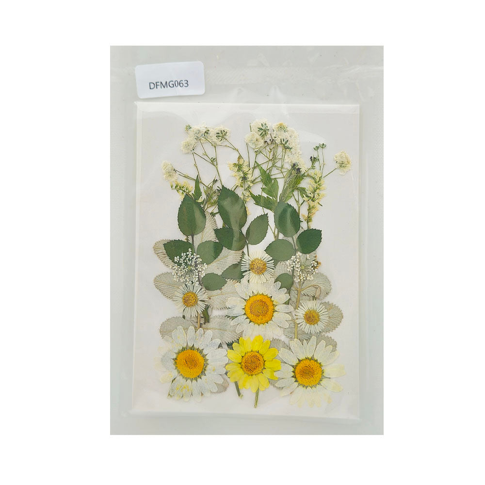 Pressed Flower MG063