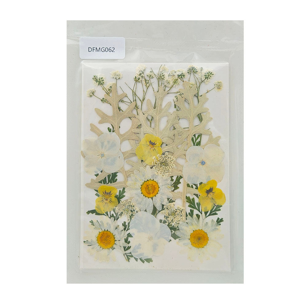 Pressed Flower MG062