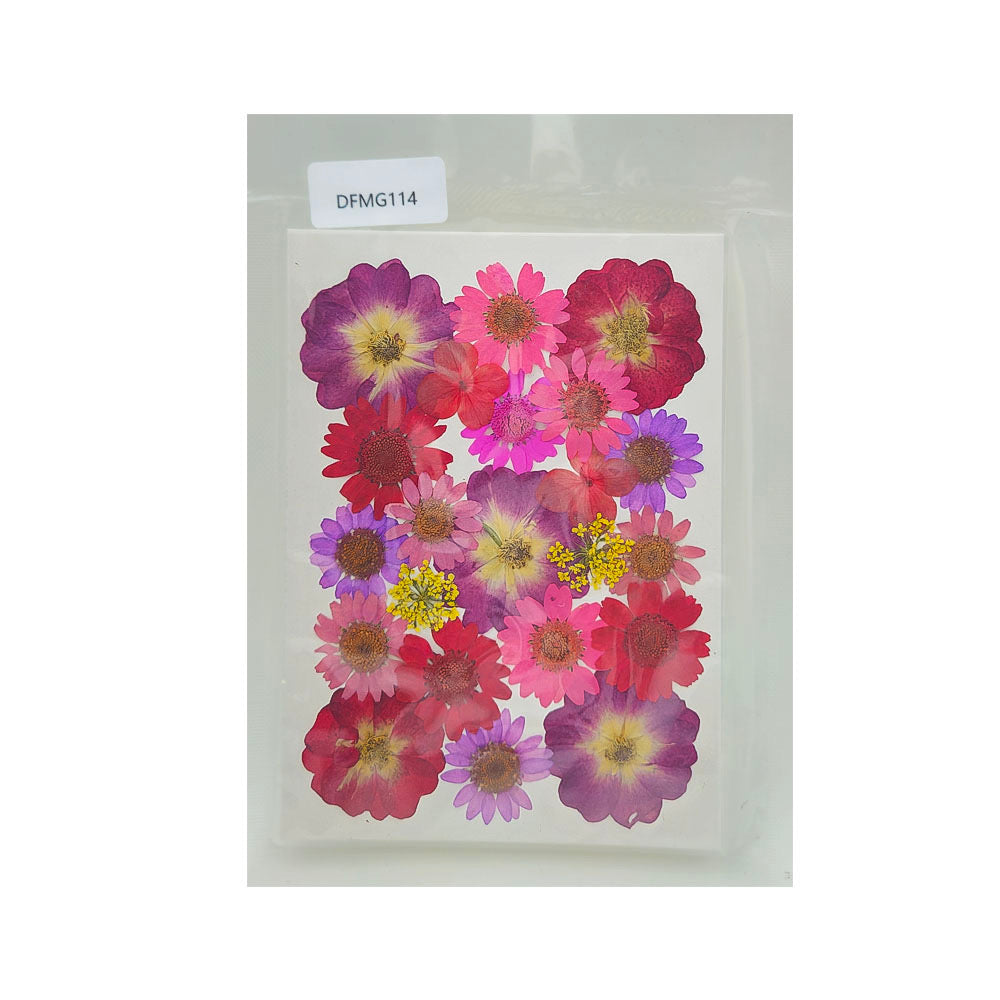 Pressed Flower MG114