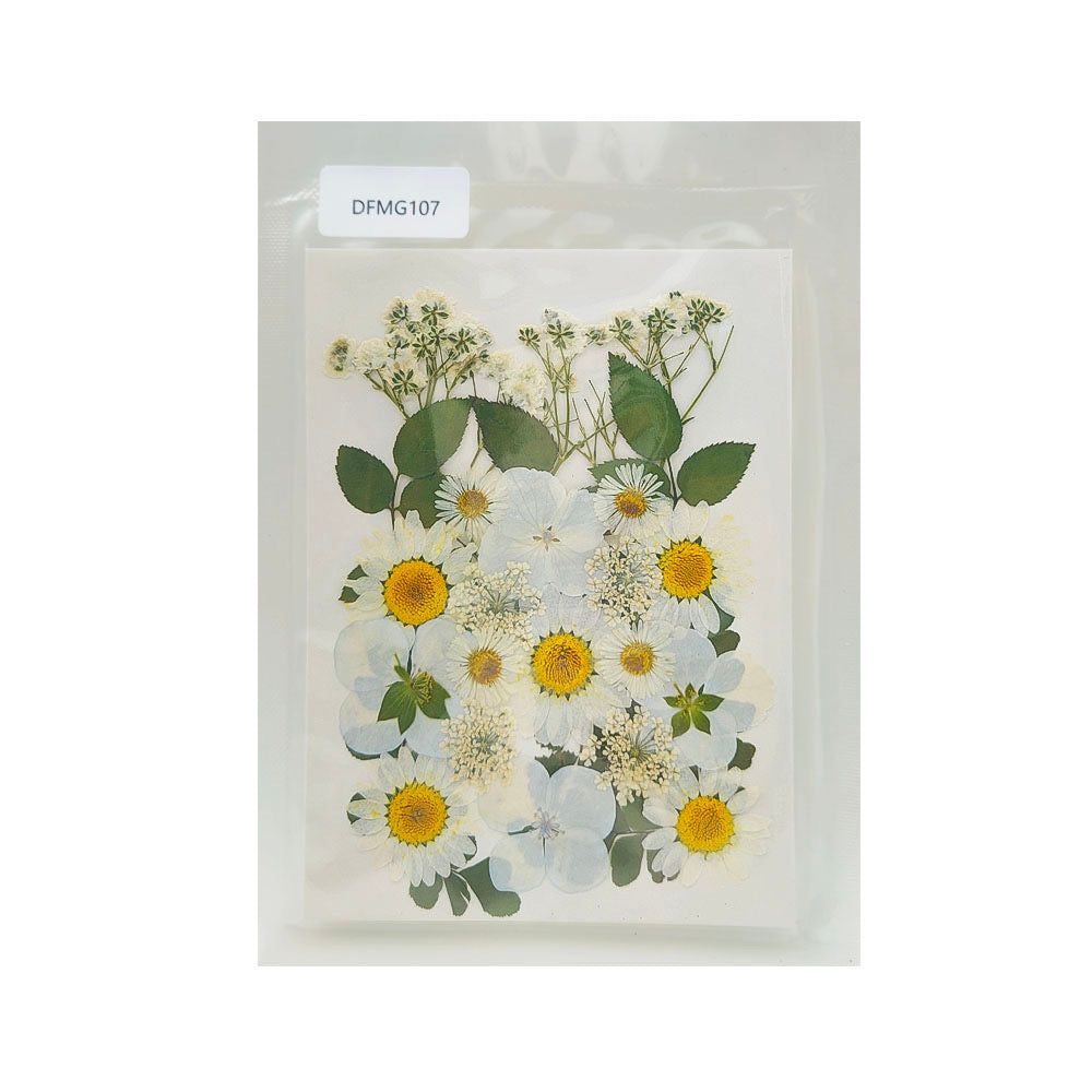 Pressed Flower MG107