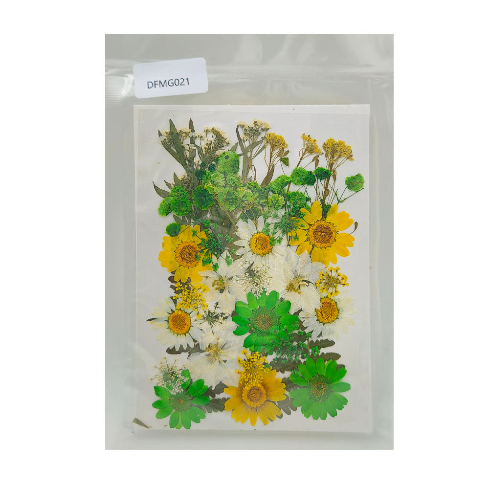 Pressed Flower MG021