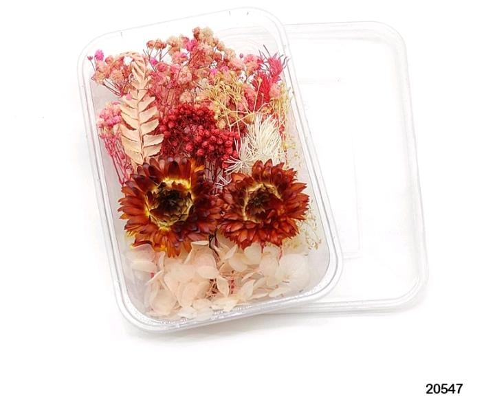 Dried Flower 20547