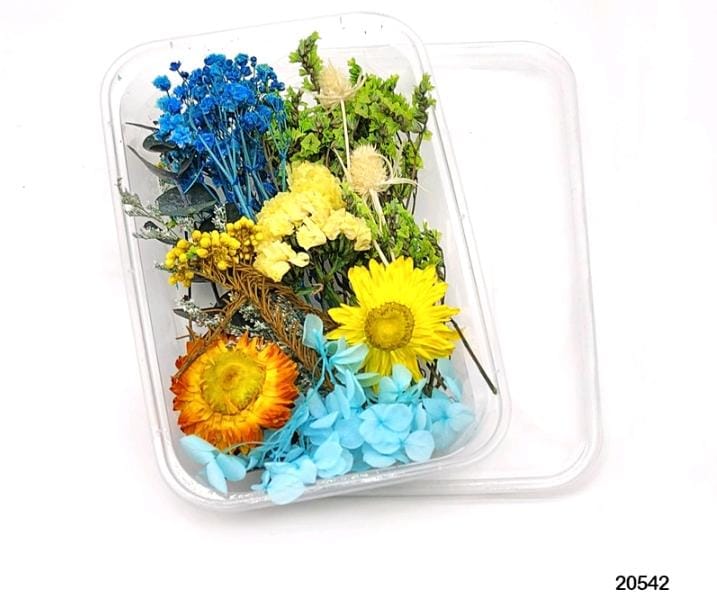 Dried Flower 20542