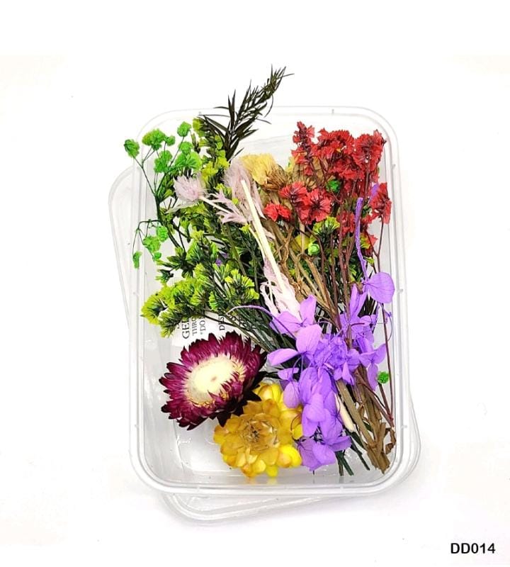 Dried Flower DD014