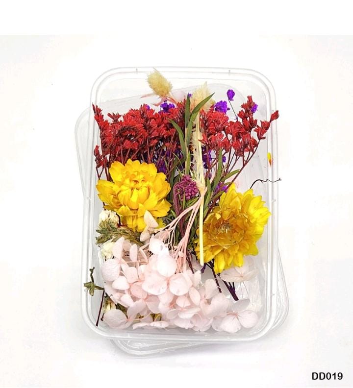 Dried Flower DD019