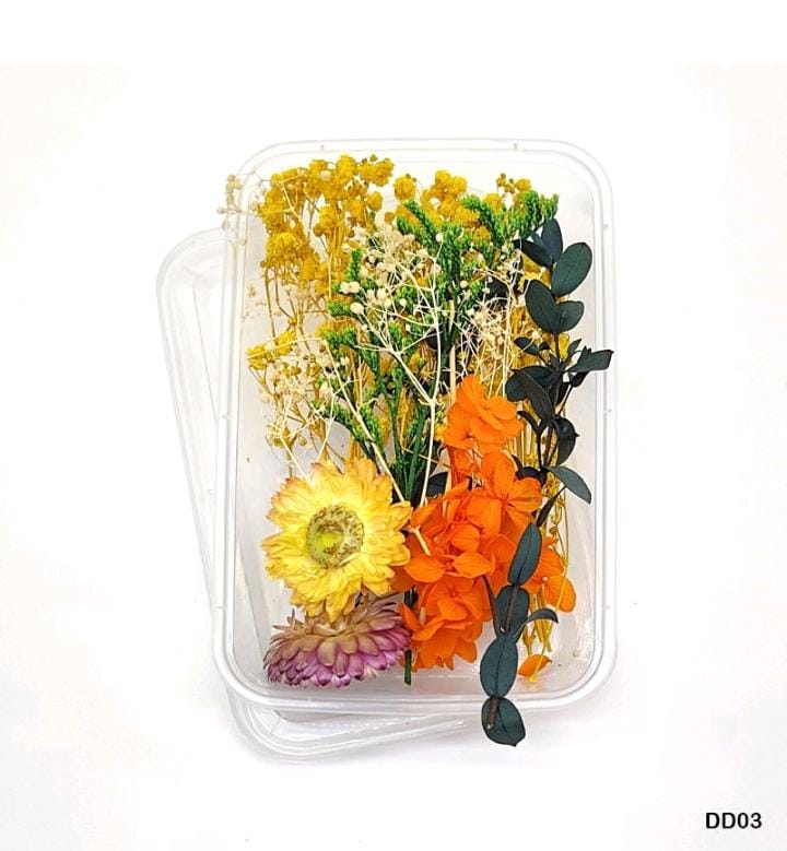 Dried Flower DD03