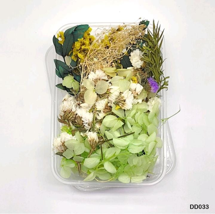 Dried Flower DD33