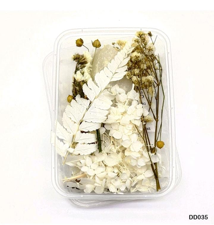 Dried Flower DD035