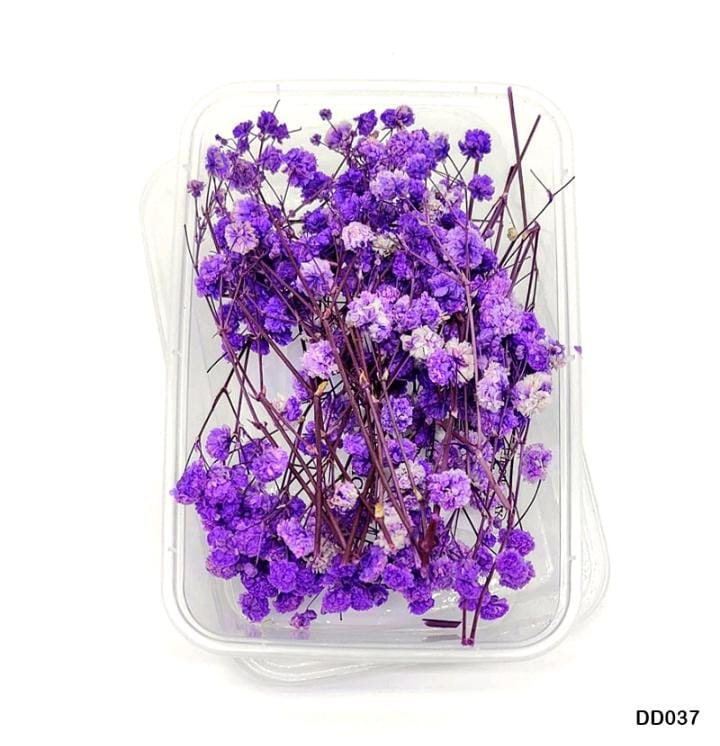 Dried Flower DD037