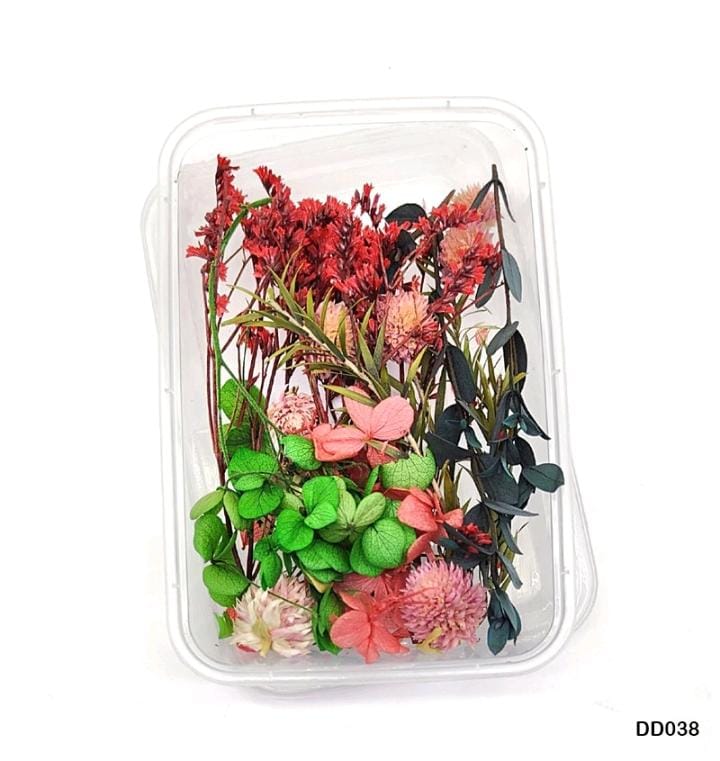 Dried Flower DD038