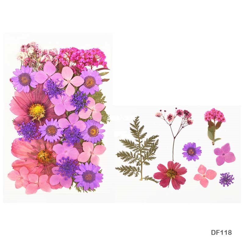 Pressed Flower DF118