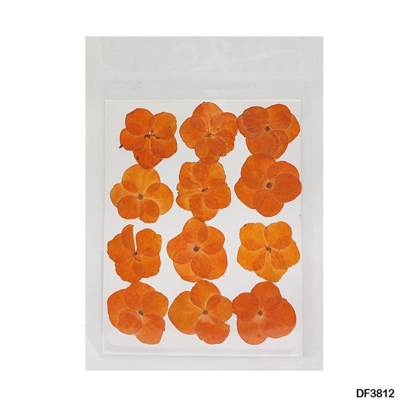 Pressed Flower DF3812