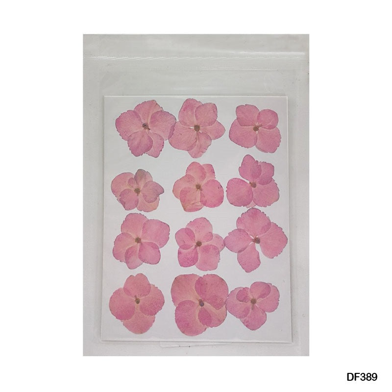 Pressed Flower DF389
