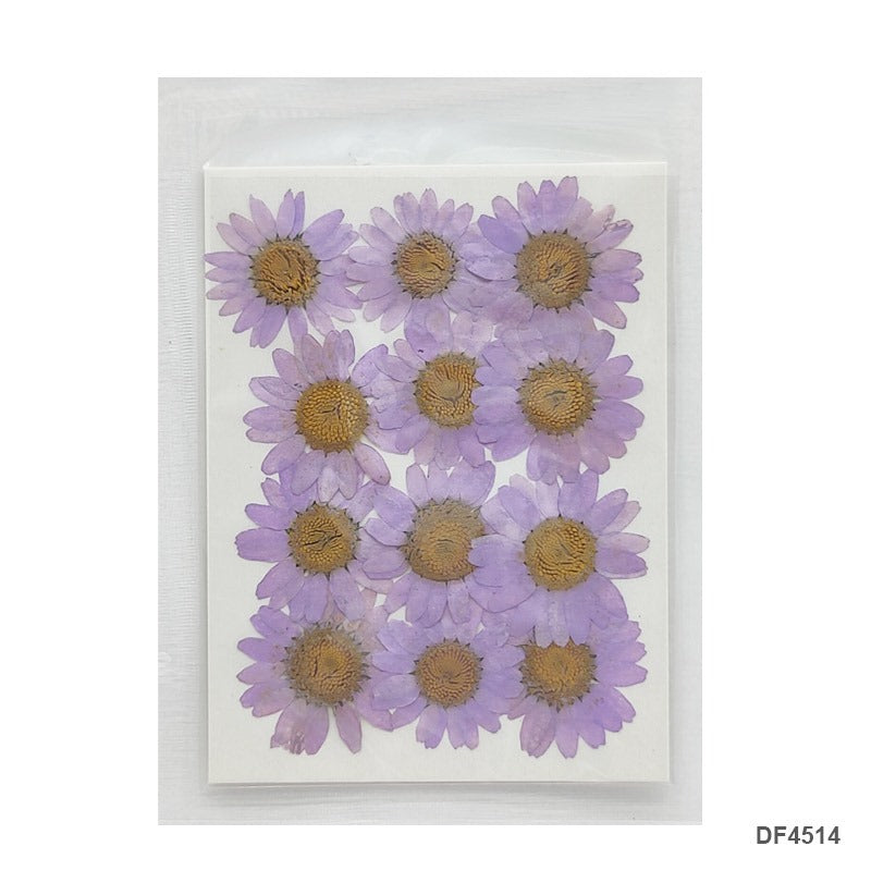 Pressed Flower DF4514