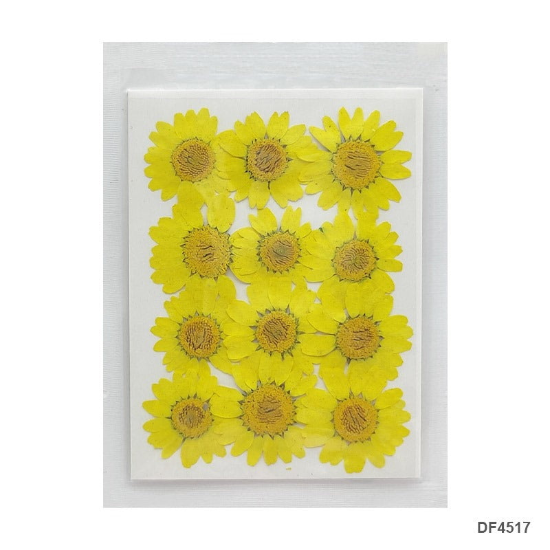 Pressed Flower DF4517
