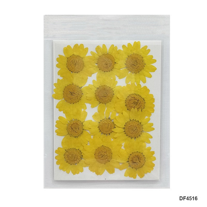 Pressed Flower DF4516