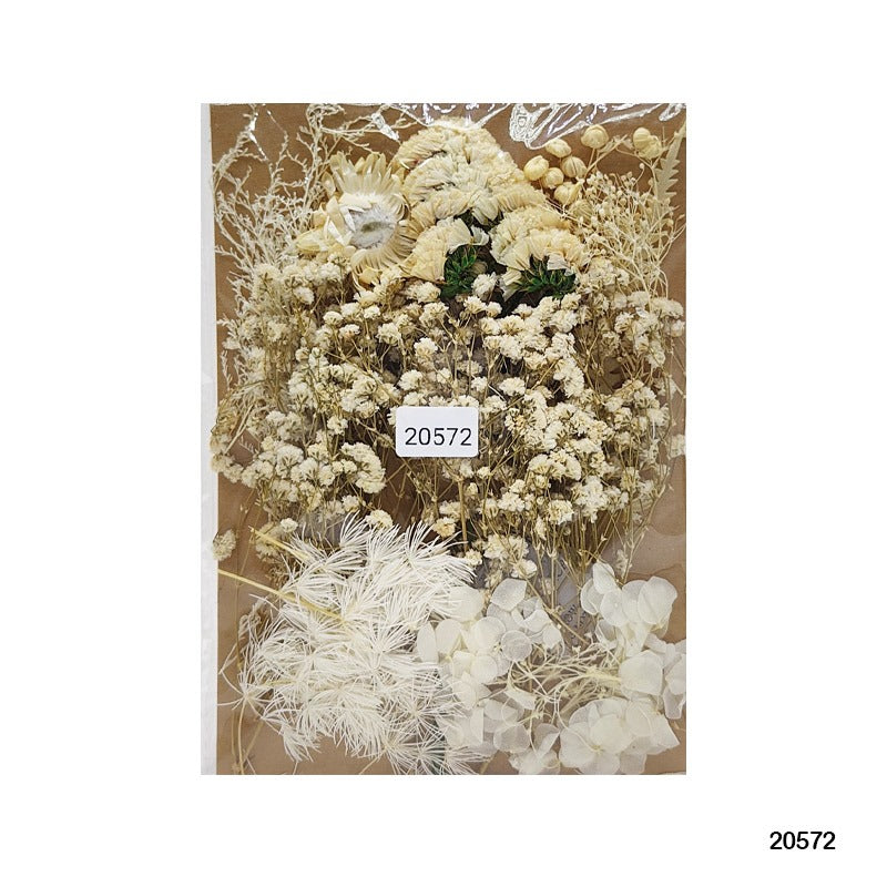 Dry Flower Big 20572