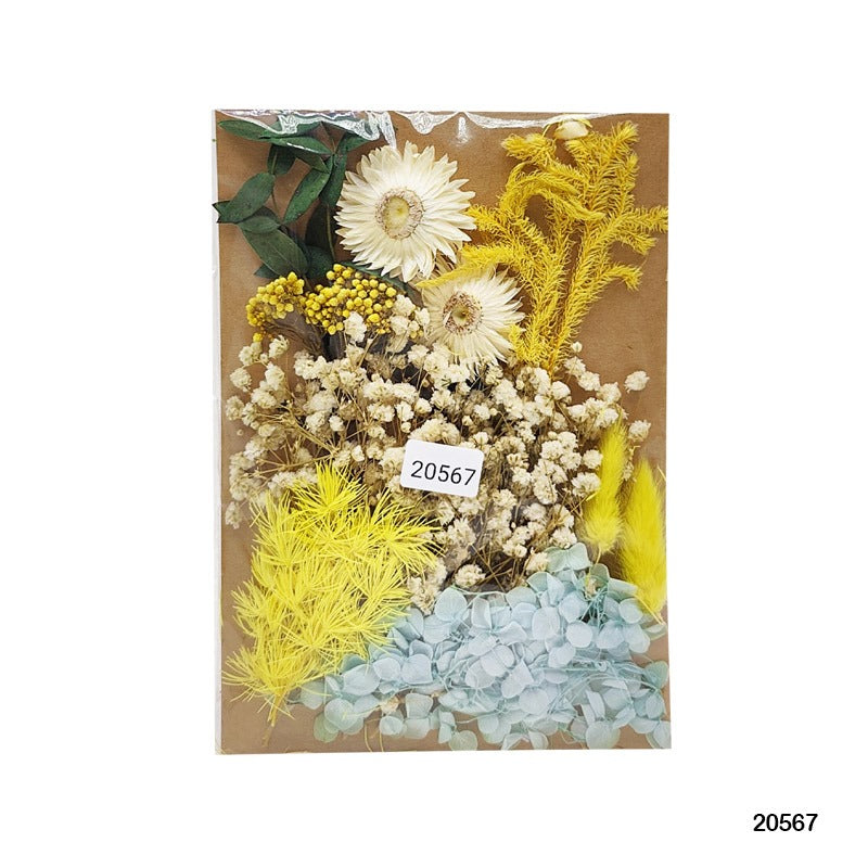 Dry Flower Big 20567