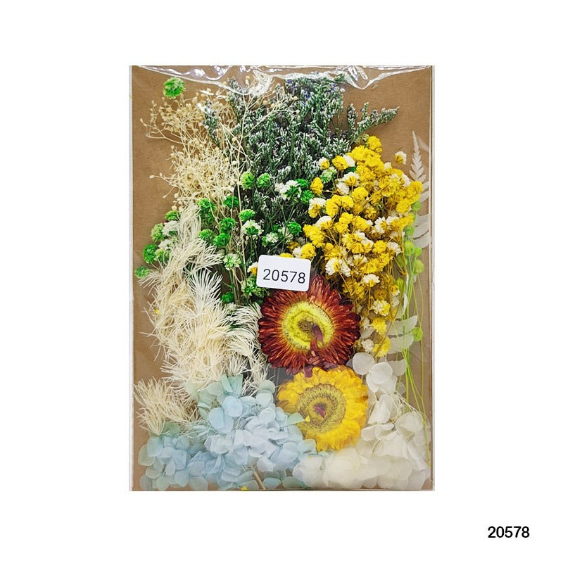 Dry Flower Big 20578