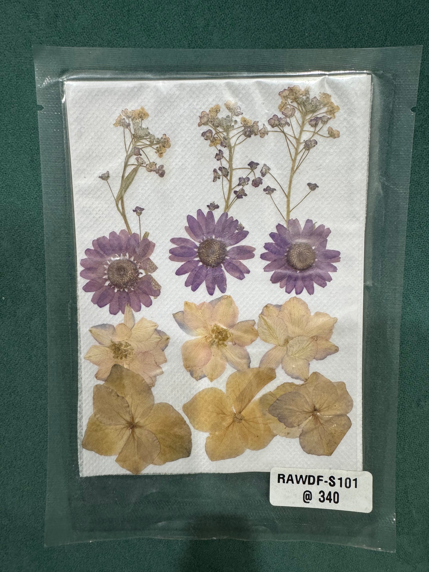 Pressed Flower S101