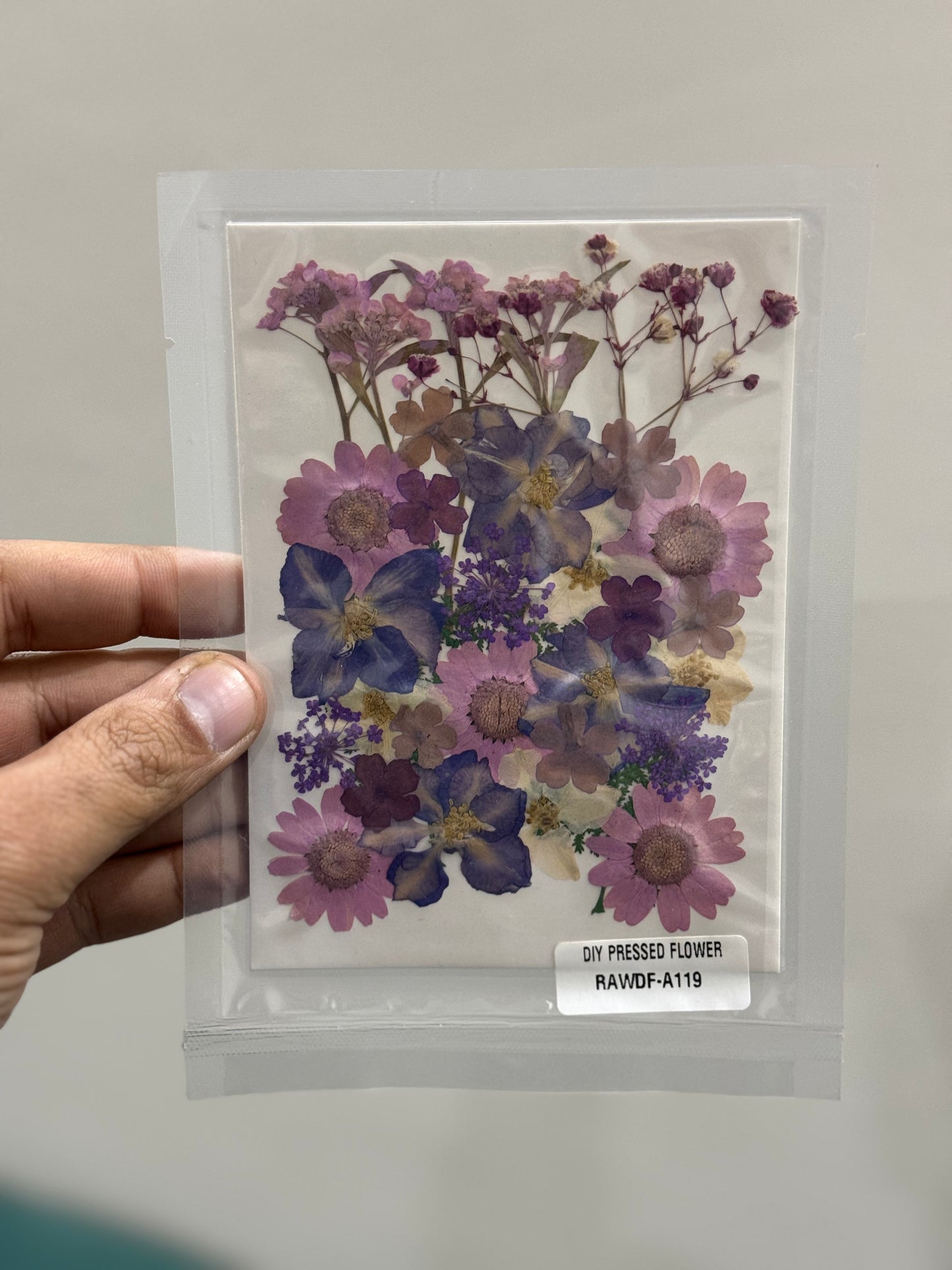 Pressed Flower A119
