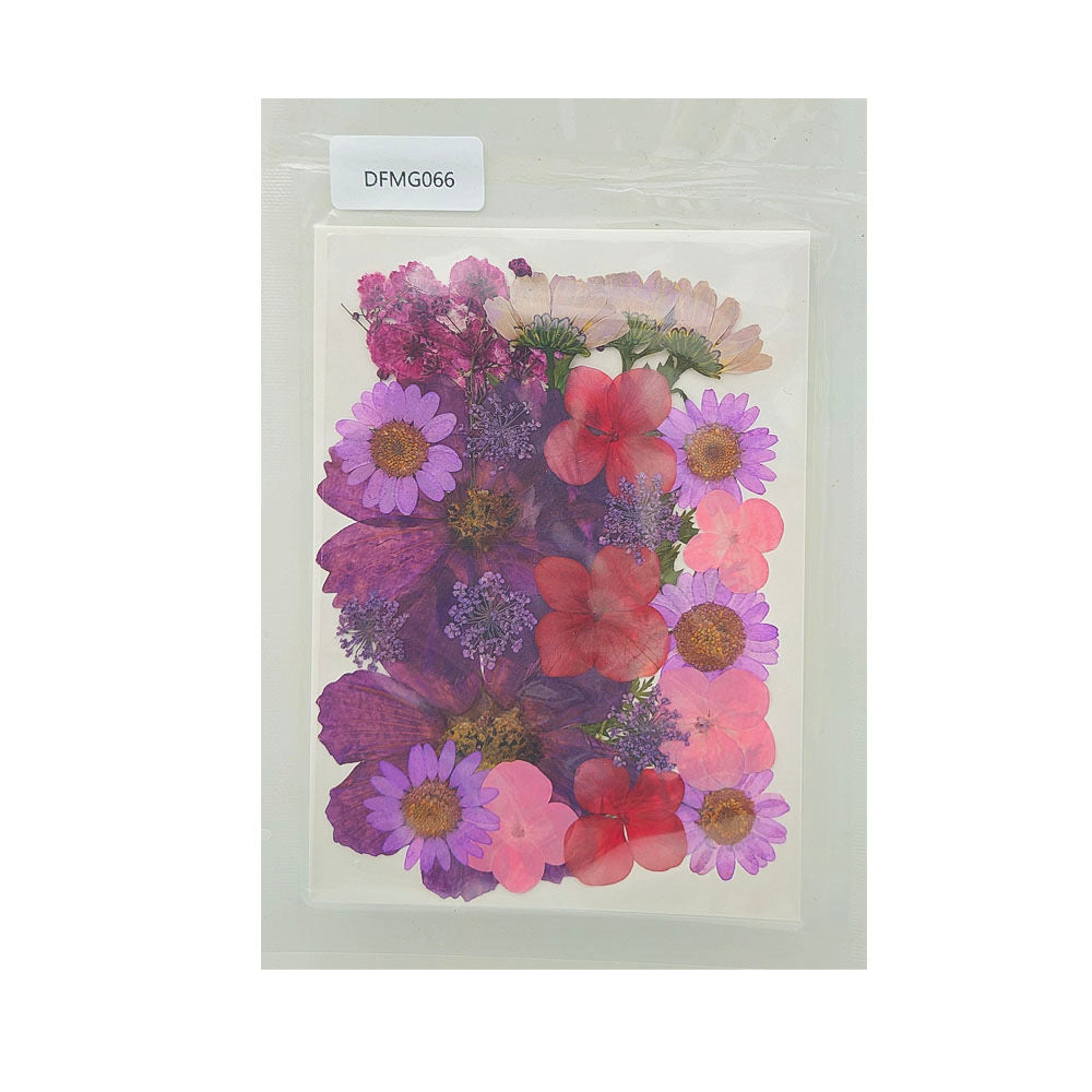 Pressed Flower MG066