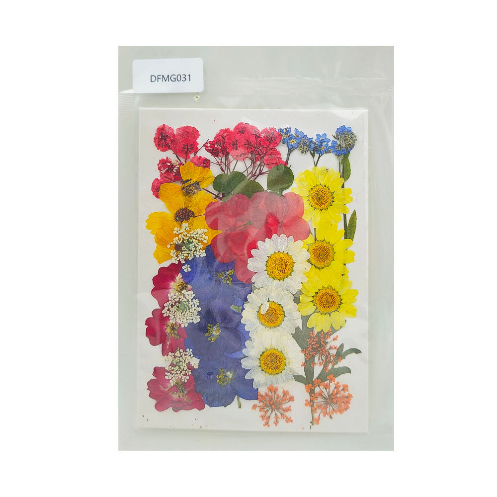 Pressed Flower MG031