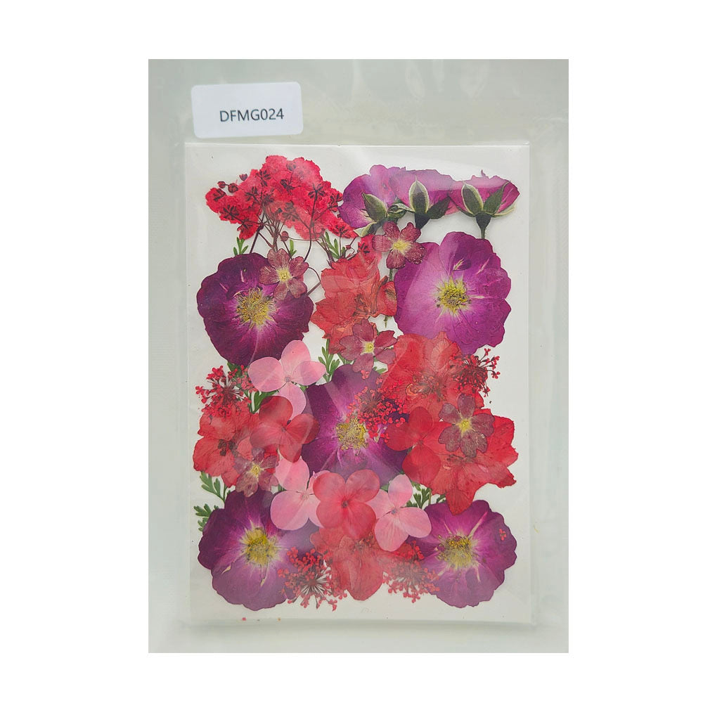 Pressed Flower MG024
