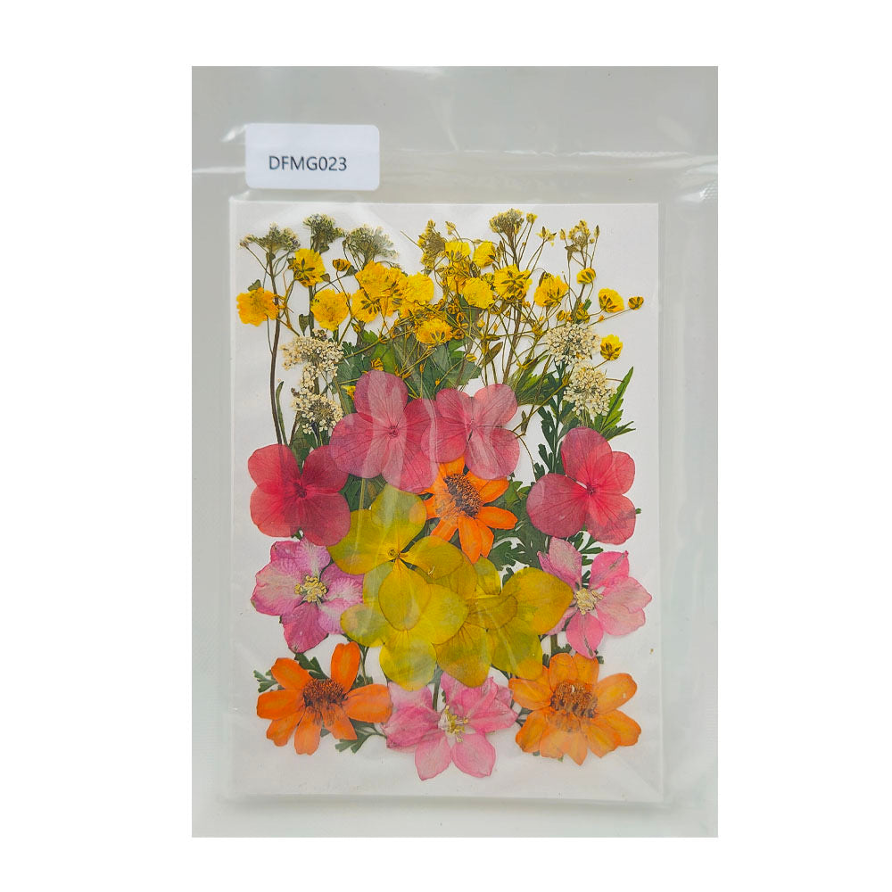 Pressed Flower MG023