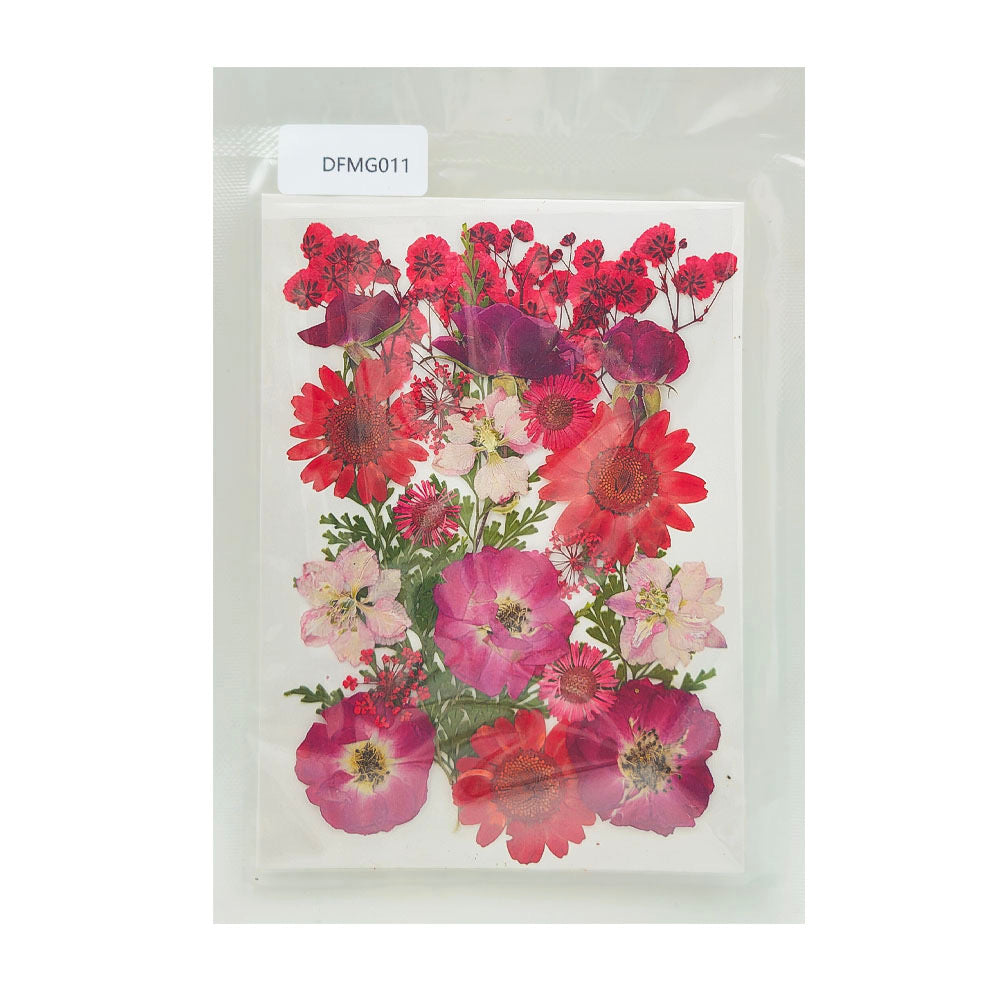 Pressed Flower MG011