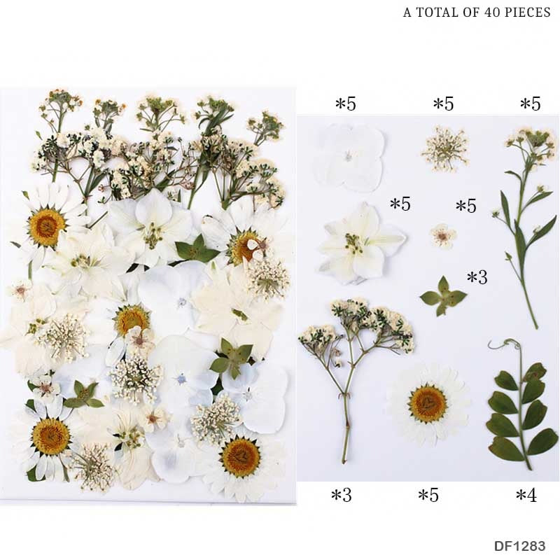 Pressed Flower DF1283