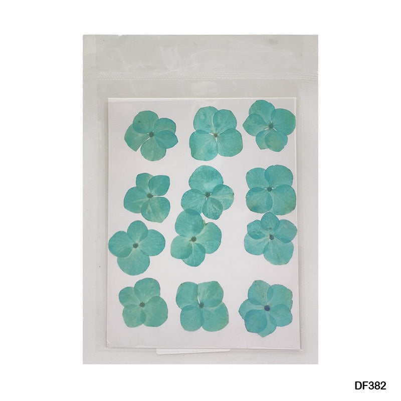 Pressed Flower DF382