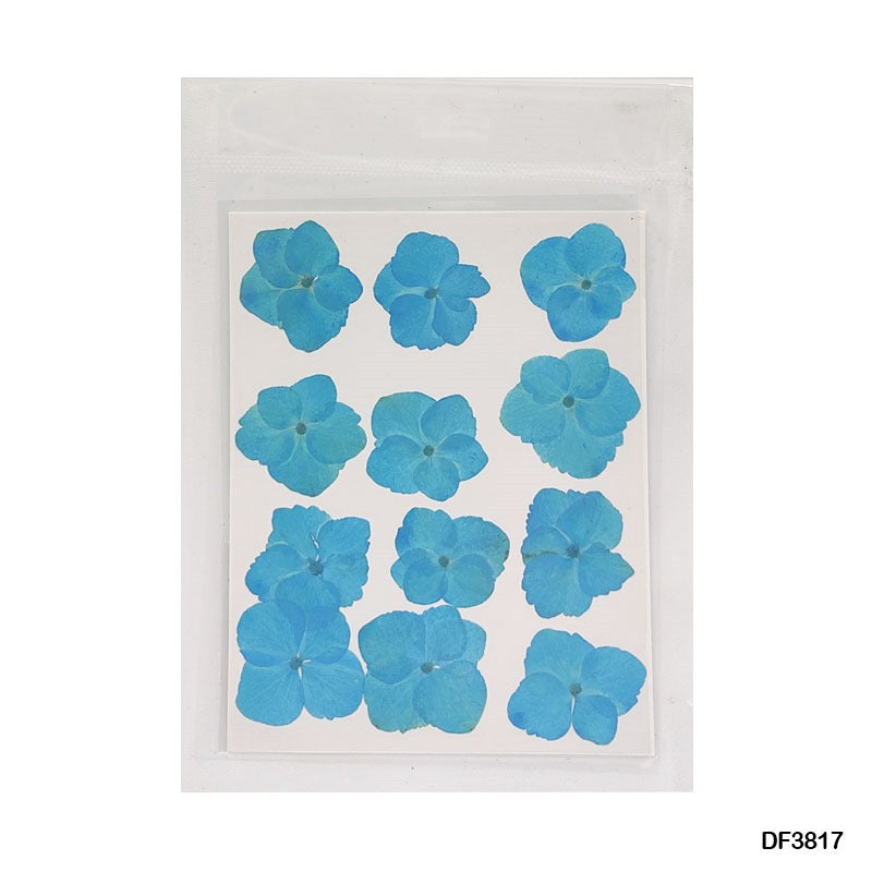 Pressed Flower DF3817