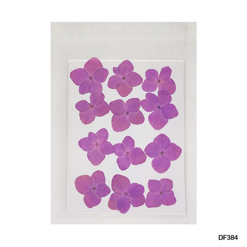 Pressed Flower DF384