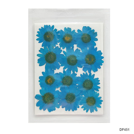 Pressed Flower DF451