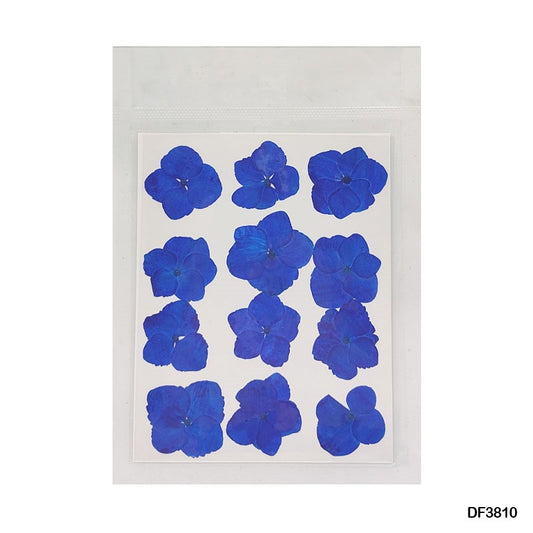 Pressed Flower DF3810