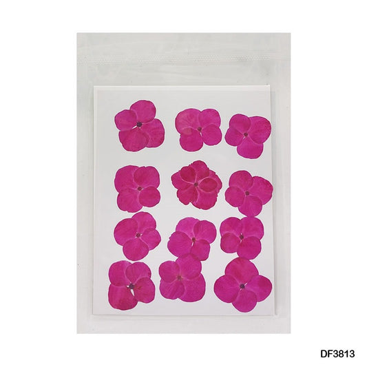 Pressed Flower DF3813