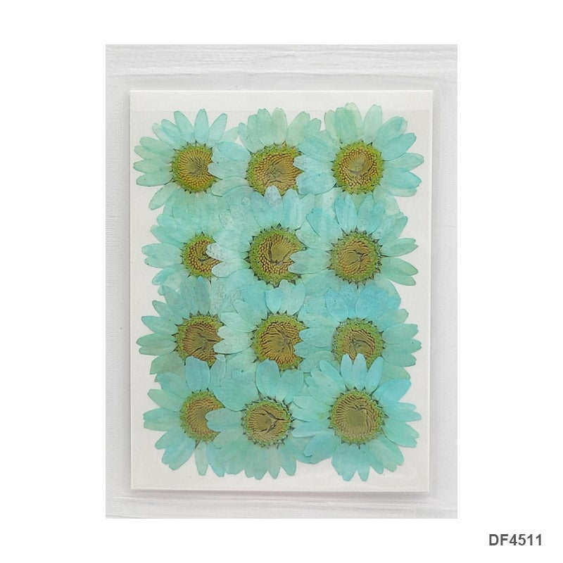 Pressed Flower DF4511