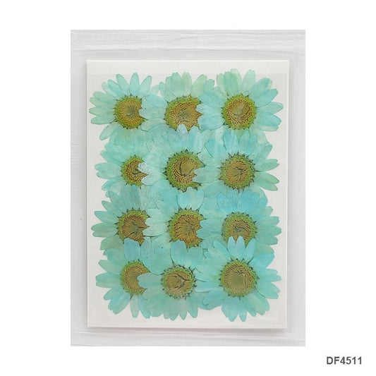Pressed Flower DF4511