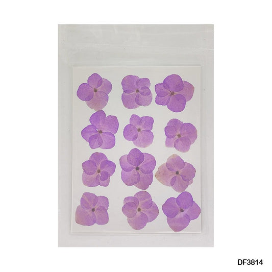 Pressed Flower DF3814
