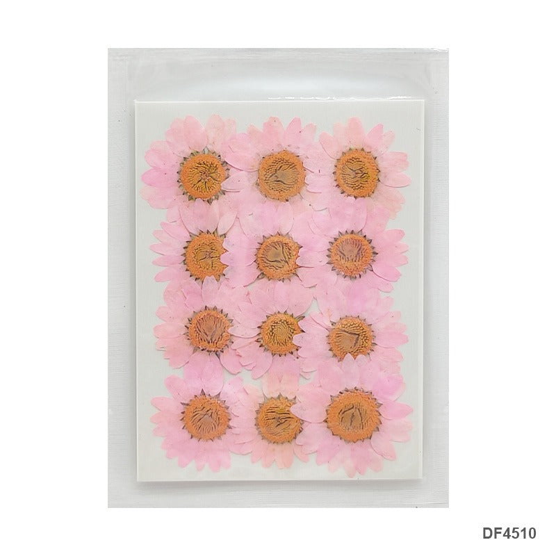 Pressed Flower DF4510