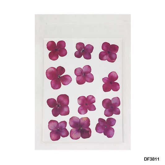 Pressed Flower DF3811