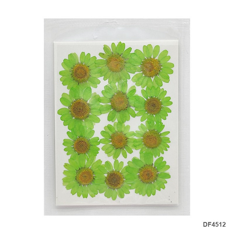 Pressed Flower DF4512