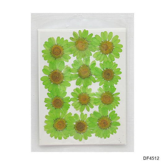 Pressed Flower DF4512
