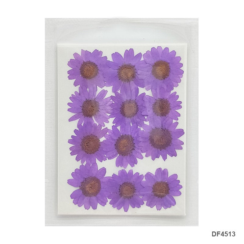 Pressed Flower DF4513