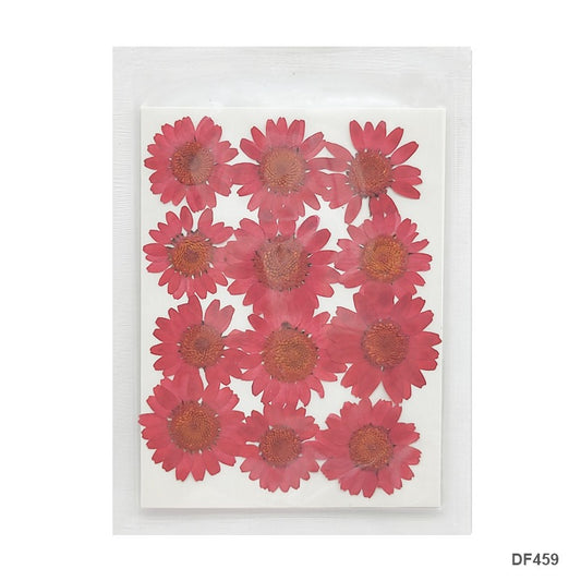 Pressed Flower DF459