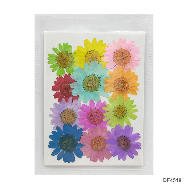 Pressed Flower DF4518